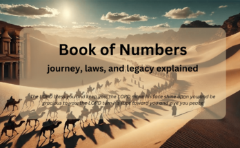 book of numbers